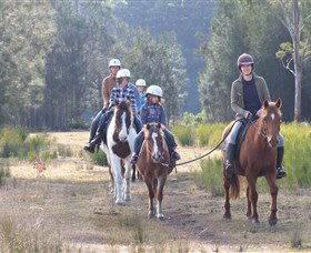Horse Riding At Oaks Ranch And Country Club - Accommodation in Surfers Paradise 0