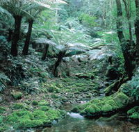 Deua National Park - Accommodation in Surfers Paradise