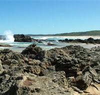 Coastal Walks - Bermagui - Accommodation in Surfers Paradise