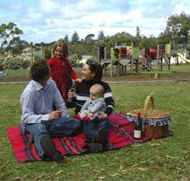 Blackbutt Forest Reserve - Accommodation in Surfers Paradise