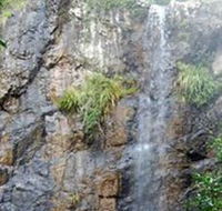 Wedding Bells Forest Drive - Accommodation in Surfers Paradise