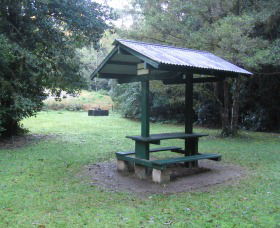 Pine Creek State Forest - Accommodation in Surfers Paradise 0