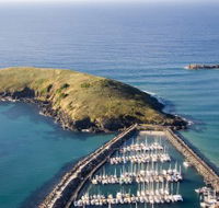 Muttonbird Island Nature Reserve - Accommodation in Surfers Paradise