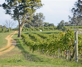 Shaw Vineyard Estate - Accommodation in Surfers Paradise 1