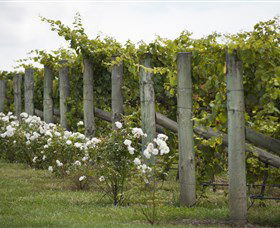 Lambert Vineyards Cellar Door - Accommodation in Surfers Paradise 2