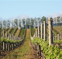 Philip Shaw Wines - Accommodation in Surfers Paradise