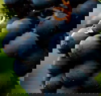 Swinging Bridge Estate - Accommodation in Surfers Paradise