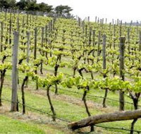 Bantry Grove - Accommodation in Surfers Paradise