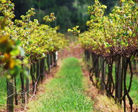 Fussy Grape Winery - Accommodation in Surfers Paradise 2