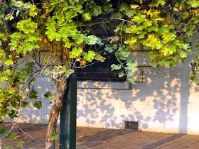 South East And Limestone Coast SA Accommodation in Surfers Paradise