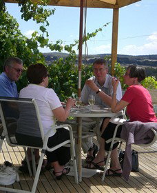 Zig Zag Rd Winery - Accommodation in Surfers Paradise 2