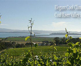 Coal Valley Vineyard - Accommodation in Surfers Paradise 5