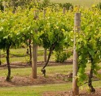 Mt Coghill Vineyard - Accommodation in Surfers Paradise