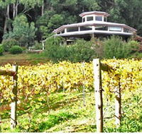 Peveril Vineyard/Beechy Berries - Accommodation in Surfers Paradise