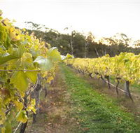 Harcourt Valley Vineyards - Accommodation in Surfers Paradise