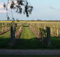 Water Wheel Vineyards - Accommodation in Surfers Paradise