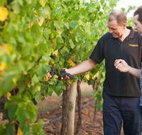 Fratin Brothers Vineyard - Accommodation in Surfers Paradise