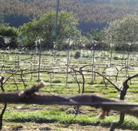 Three Willows Vineyard - Accommodation in Surfers Paradise