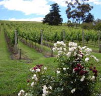 Pembroke Estate Vineyard - Accommodation in Surfers Paradise
