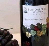 Bundaleera Vineyard - Accommodation in Surfers Paradise