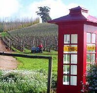 Dalrymple Vineyards - Accommodation in Surfers Paradise
