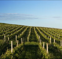 Delamere Vineyard - Accommodation in Surfers Paradise