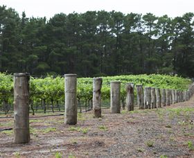 Leura Park Estate - Accommodation in Surfers Paradise 6