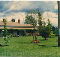 Tumut Valley Violets - Accommodation in Surfers Paradise