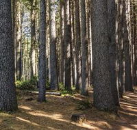 Sugarpine Walk - Accommodation in Surfers Paradise