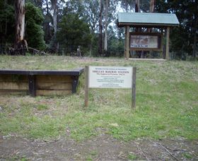 Shelley Forest Camp - Accommodation in Surfers Paradise 0