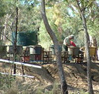 7 Oaks Sapphire Fossicking - Accommodation in Surfers Paradise