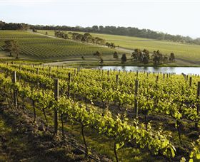 Yabby Lake Vineyard & Cellar Door - Accommodation in Surfers Paradise 7