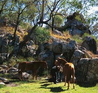 Coomba Falls - Accommodation in Surfers Paradise