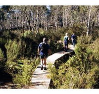Hume and Hovell Walking Track - Henry Angel Trackhead - Accommodation in Surfers Paradise