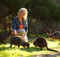 Moonlit Sanctuary Wildlife Conservation Park - Accommodation in Surfers Paradise