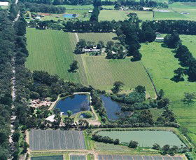 Ten Minutes By Tractor - Accommodation in Surfers Paradise 2