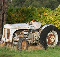 Ten Minutes By Tractor - Accommodation in Surfers Paradise