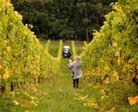 Polperro Winery - Accommodation in Surfers Paradise 7
