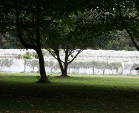 Staindl Wines - Accommodation in Surfers Paradise 0