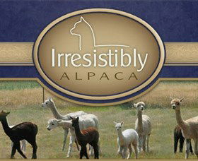 Marchmont Park Alpacas - Accommodation in Surfers Paradise 0