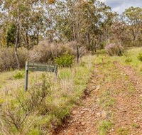 Old Mountain Road Walking Track - Accommodation in Surfers Paradise