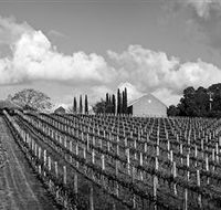 Willow Creek Vineyard - Accommodation in Surfers Paradise