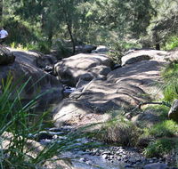 Towarri National Park - Accommodation in Surfers Paradise