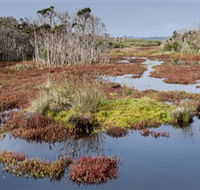 French Island National Park - Accommodation in Surfers Paradise