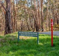 Lobs Hole Ravine 4WD Trail - Accommodation in Surfers Paradise