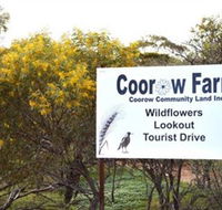 Coorow Farm Wildflower Trail - Accommodation in Surfers Paradise