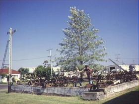 Clifton Historical Museum - Accommodation in Surfers Paradise 1