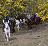 Burnelee Excursions on Horseback - Accommodation in Surfers Paradise