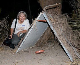 Barna Mia Native Animal Sanctuary - Accommodation in Surfers Paradise 3
