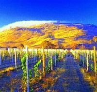 Surveyors Hill Winery - Accommodation in Surfers Paradise